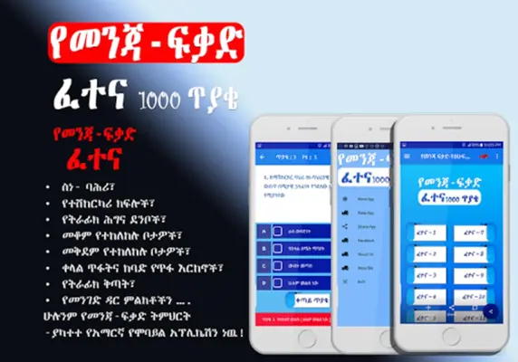 Driving License Exam - Amharic android App screenshot 3